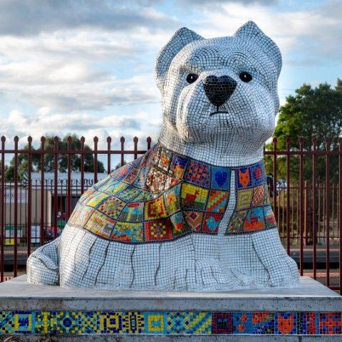 Pat the Dog
