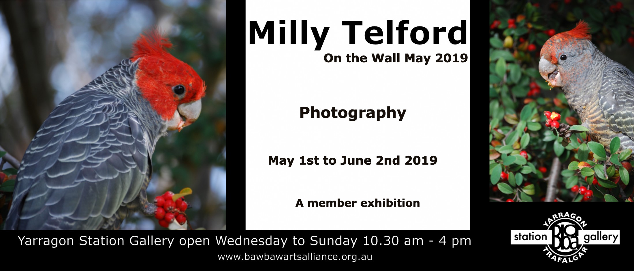 Milly Telford- may